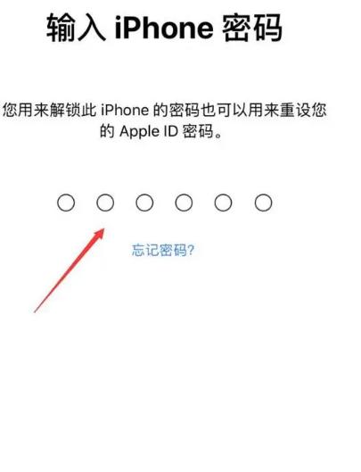 苹果下载密码忘记了怎么办-(苹果下载密码忘记了怎么办又不重新设置)