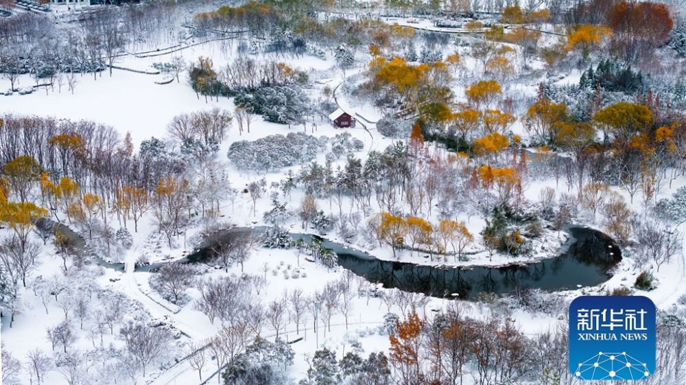 商州雪景视频高清下载网站_(商州雪景视频高清下载网站最新)