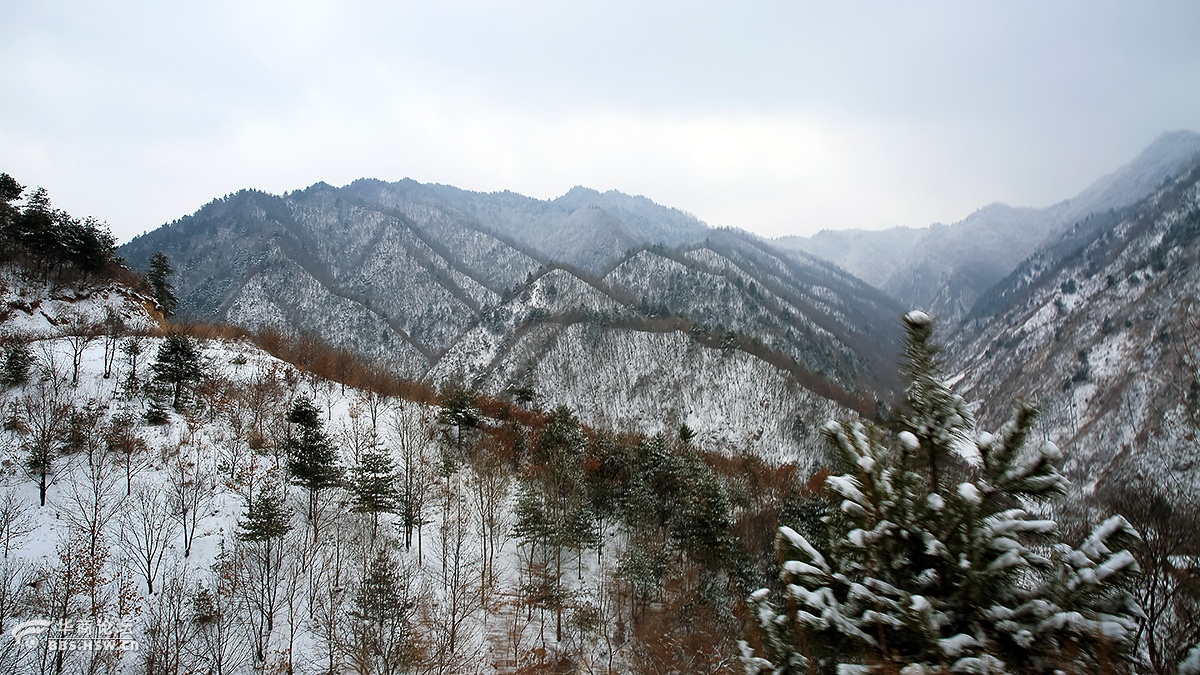 商州雪景视频高清版下载_(商州雪景视频高清版下载免费)